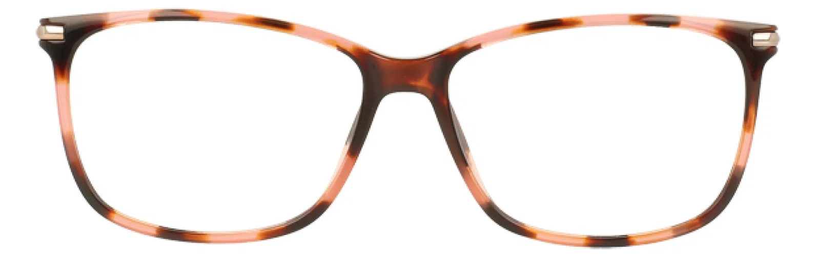 Via Spiga VSLucrezia Eyeglasses - view 8
